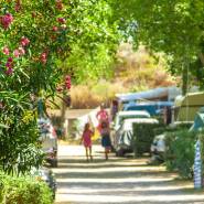 Camping Marseillan Plage