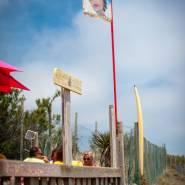 2019 06 19 Creole Photos HD 11