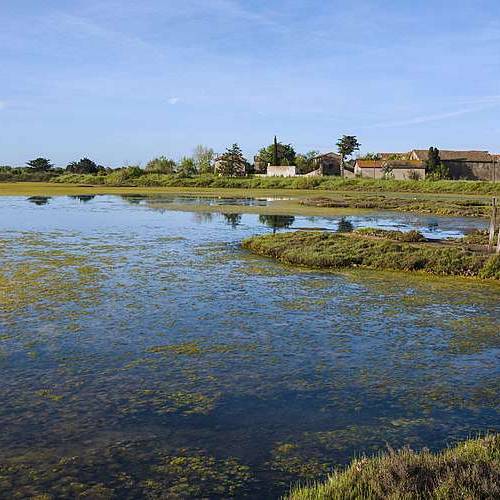 Reserve naturelle nationale du Bagnas 02