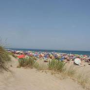 Reserve naturelle nationale du Bagnas 1