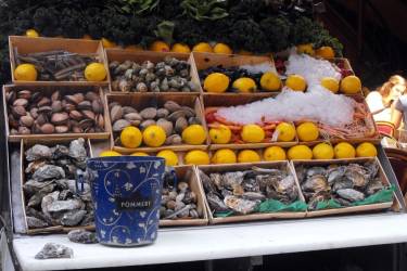 Besuch von Muschelzuchtbetrieben im Hérault