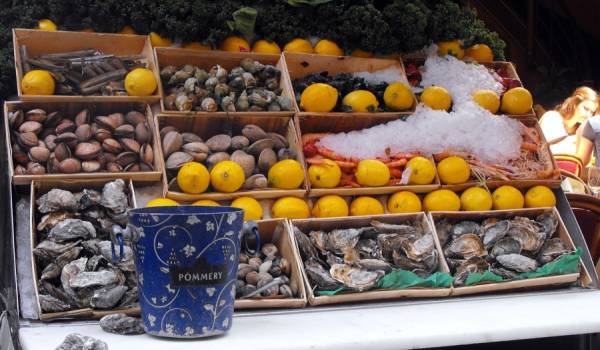 Besuch von Muschelzuchtbetrieben im Hérault