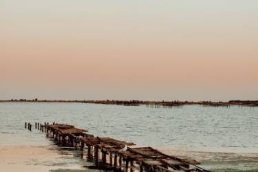 Nehmen Sie an den Feierlichkeiten des Thau-Archipels teil