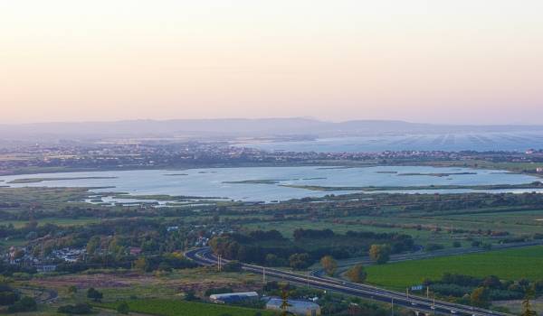 L’étang de Bagnas : un trésor écologique au cœur de l’Occitanie