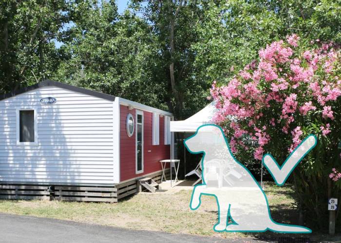 Mobil-home 6 personnes CONFORT FAMILLE à Marseillan Plage