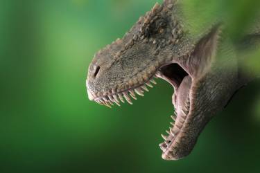 Visite du Dinopark du Cap d'Agde